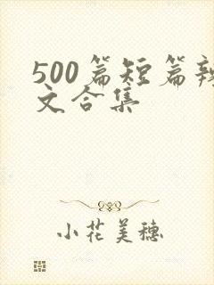 500篇短篇辣文合集