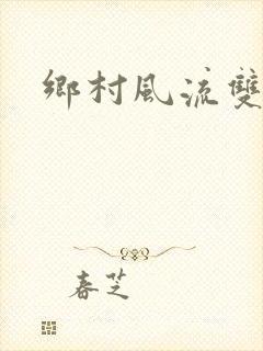 乡村风流双飞