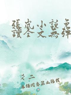 张岚小说免费阅读全文无弹窗