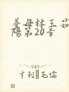 养母林玉茹与林阳第20章