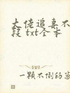 大佬追妻不择手段 txt全本