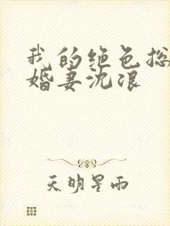 我的绝色总裁未婚妻沈浪