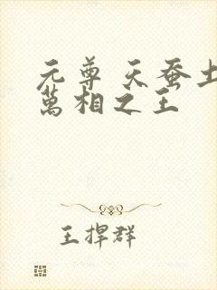 元尊 天蚕土豆万相之王