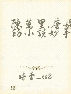 陈万里,唐嫣然的小说妙手大仙医