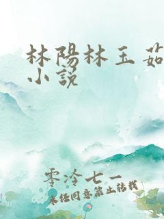 林阳林玉茹柳姨小说