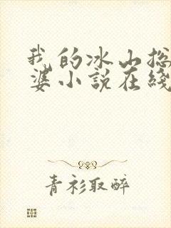 我的冰山总裁老婆小说在线阅读