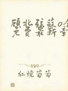 顾北弦苏o全文免费最新章节更新