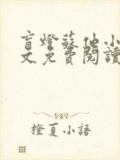 盲灯苏他小说全文免费阅读