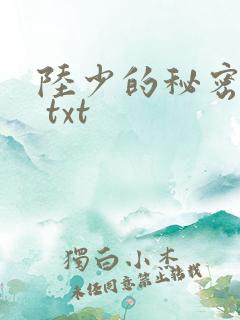 陆少的秘密恋人 txt