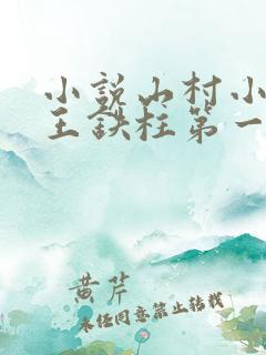 小说山村小神医王铁柱第一章第二十六章
