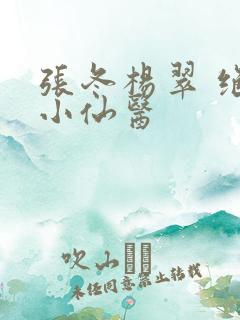 张冬杨翠 绝世小仙医
