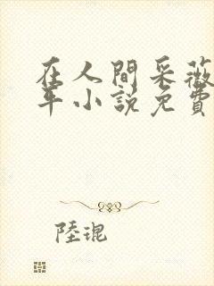 在人间采薇陆三平小说免费阅读txt