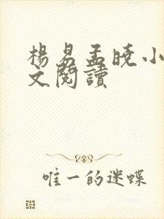 杨易孟晓小说全文阅读