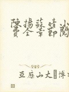 陈扬苏晴小说免费全章节阅读