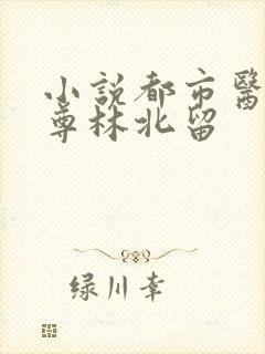 小说都市医武仙尊林北留