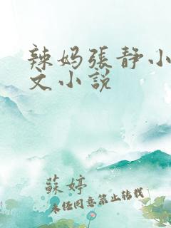 辣妈张静小说全文小说