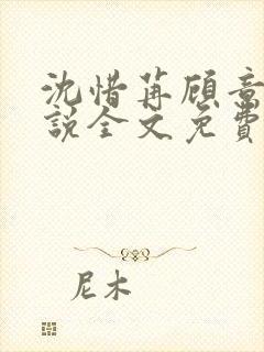 沈惜苒顾意远小说全文免费阅读