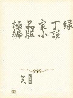 极品家丁绿帽改编版小说