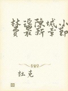 林瑶陈城小说免费最新章节更新