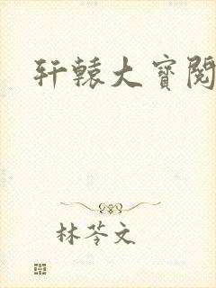 轩辕大宝阅读