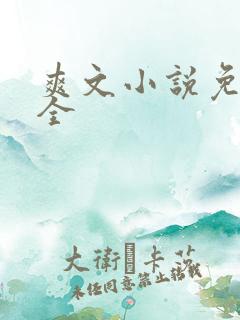爽文小说免费大全
