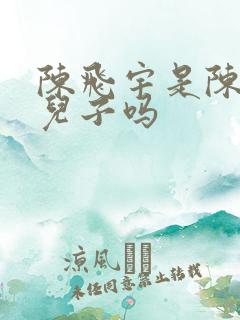 陈飞宇是陈红的儿子吗