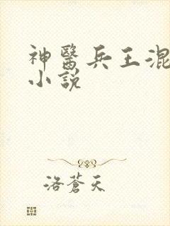 神医兵王混山村小说