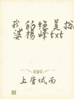 我的绝美总裁老婆杨峰txt