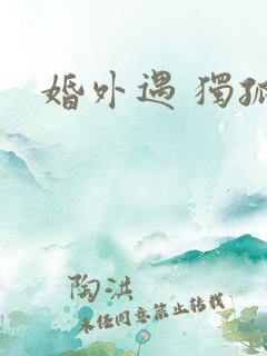 婚外遇 独孤卫