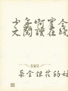 少年啊宾全文全文阅读在线阅读全文