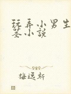 玩弄小男生的玉茎小说