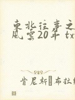 东北往事之黑道风云20年 txt下载