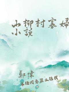 山柳村寡妇情史小说