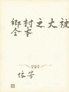 乡村之大被同眠全本