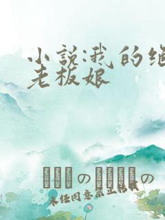 小说:我的绝色老板娘