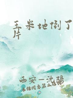 玉米地倒了的图片