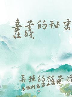 妻子的秘密韩国在线