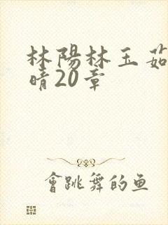 林阳林玉茹柳思晴20章