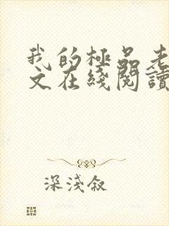 我的极品老婆全文在线阅读