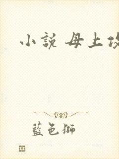 小说 母上攻略