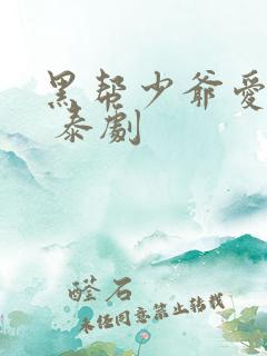 黑帮少爷爱上我 泰剧