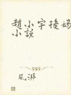 赵小宇后妈晴姨小说