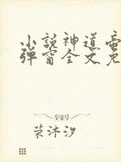 小说神道帝尊无弹窗全文免费阅读
