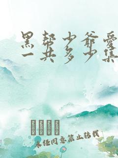 黑帮少爷爱上我一共多少集