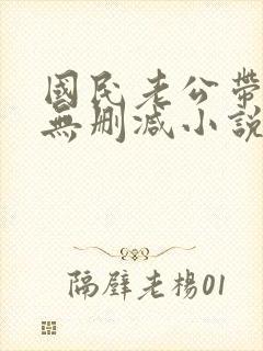 国民老公带回家无删减小说