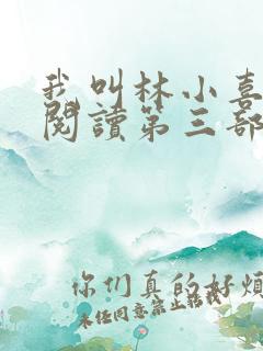 我叫林小喜全文阅读第三部