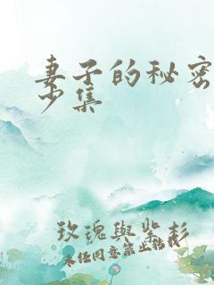 妻子的秘密有多少集
