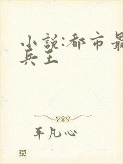 小说:都市最强兵王