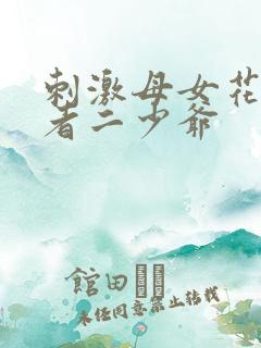 刺激母女花,作者二少爷