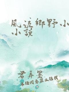 风流乡野小农民小说